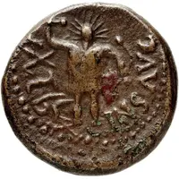 Semis - Caligula INS AVG 'YBSHM