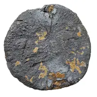 Papal Bull - Innocent IV