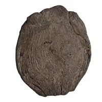 AR Dirham - Anonymous