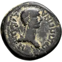 Diassarion - Agrippina Junior ΒΡΟΚΧΟΙ ΦΙΛΟΜΗΛΕΩΝ