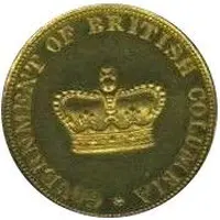 10 Dollars - Gold pattern