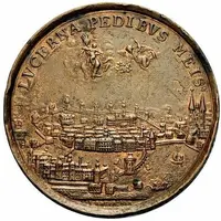 Medal of Merit Bronze