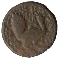 1/2 Bisti - Bakar Peacock right