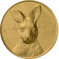 100 Francs CFA Kangaroo