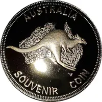 Medal - QLD - Fraser Island - Whale Tourist Souvenir