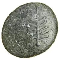 Gold Plated Stater - Comux Comux Tree Contemporary Counterfeit