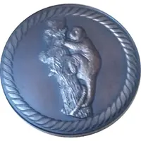 9th South Pacific Games Medallion