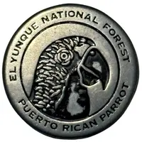 El Yunque National Forest Coqui Frog and Puerto Rican Parrot