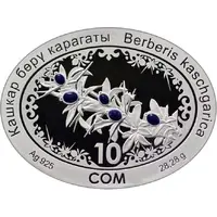 10 Som Berberis kaschgarica
