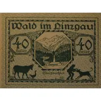 40 Heller Wald im Pinzgau