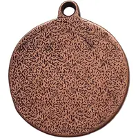 Bronze Medal - Lifesaving Society Province of Quebec