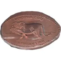 Virginia Zoo - Lion Norfolk, Virginia