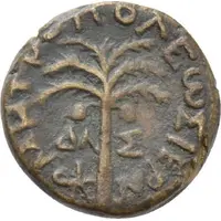 Chalkos - Tyre Palm tree