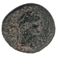 Æ - Domitianus Neapolis