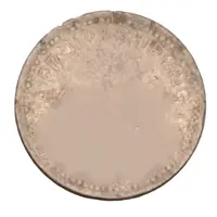 Token - Jamaica Fruit & Shipping Co. Ltd.