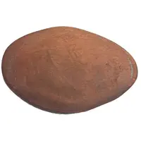 Woodland Park Zoo - Ring-tailed Lemur Seattle, Washington