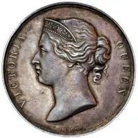 Award - Victoria Paris Universal Exhibition, silver