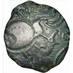 1/2 Stater with boar
