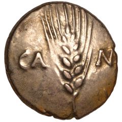 Gold Stater - Cunobelin Cunobelinus Plastic