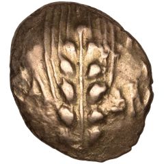 Gold Stater - Cunobelinus Wild A Central Stalk