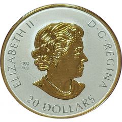 20 Dollars In the name of Elizabeth II, Celebrate Love