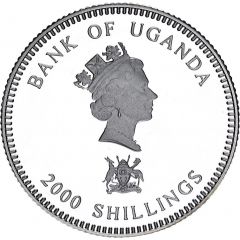 2000 Shillings Zebra