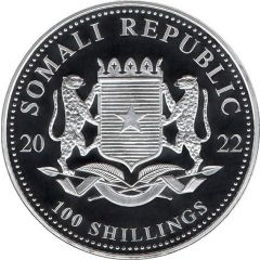 100 Shillings Leopard, Silver