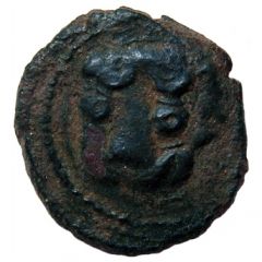 1 Follaro - Guglielmo II