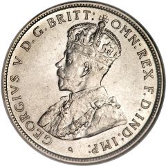 1 Florin - George V