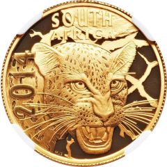 20 Rand - 1/4 Ounce Natura - Leopard