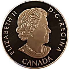 20 Dollars - Elizabeth II Superman