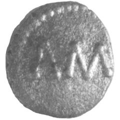 Silver Minim - Amminus Mini Hippocamp