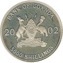 5000 Shillings Cape buffalo