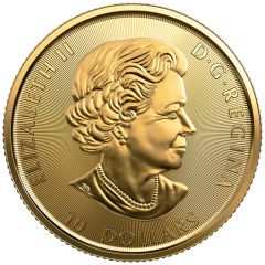 10 Dollars Aquitaine Bull