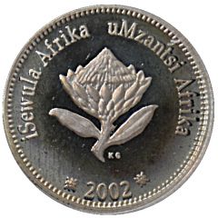 2 1/2 Cents Whales