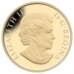 300 Dollars - Elizabeth II Northwest Territories Coat of Arms