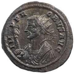 Antoninianus - Probus Imperial mantle, left, sceptre surmounted by eagle, VIRTVS AVG