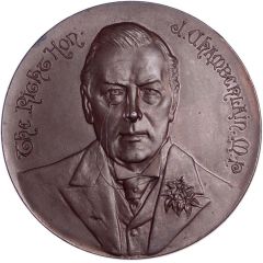 Medal - Joseph Chamberlain Visit to South Africa, bronze