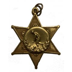 Powell River and District League Football Award Gold