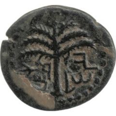 Small bronze - Simeon bar Kosevah Year Two