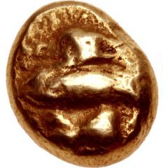Hemihekte