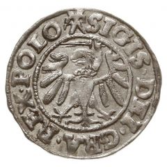 Szeląg gdański - Sigismund I the Old Gdańsk mint