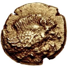 Hemihekte
