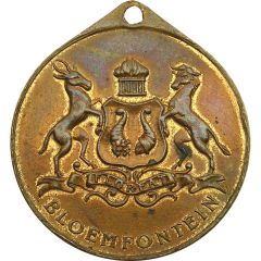 Medal - Bloemfontein Centenary