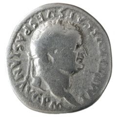 Denarius - Titus TR P VIIII IMP XV COS VII P P