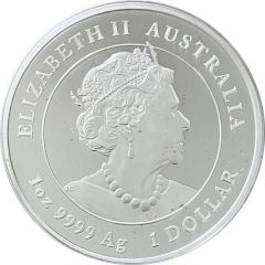 1 Dollar - Elizabeth II 6th Portrait - Year of the Tiger, Coloured Silver Proof