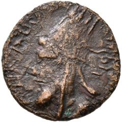 Dichalkon - Artaxias I Bearded Male