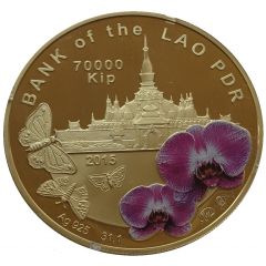 70 000 Kip Butterfly