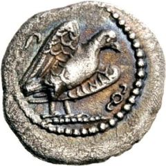 Diobol - Wekhssere II Pinara