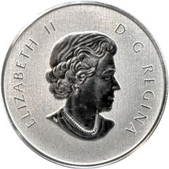 10 Dollars - Elizabeth II Year of the Dragon